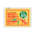 カイロ・エコカイロ