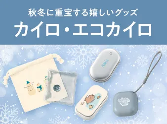 カイロ・エコカイロ