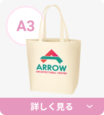 A3