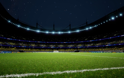 スポーツ観戦・屋外イベントグッズに