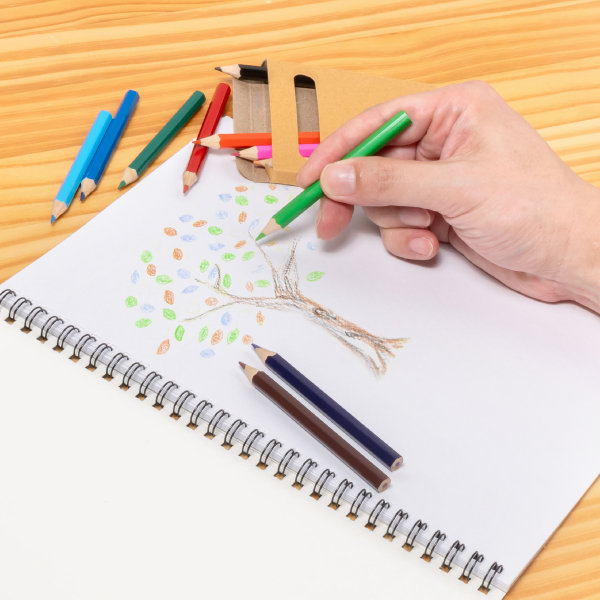 クラフト12色いろえんぴつ