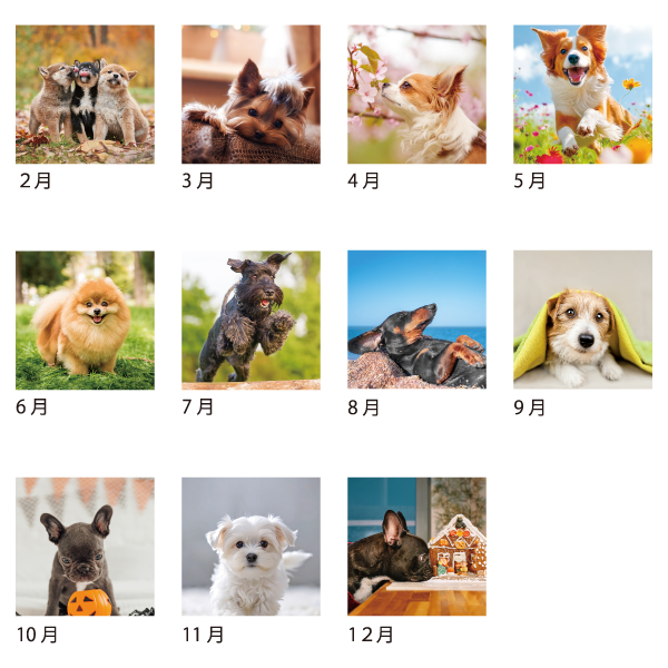 2026年卓上カレンダー DOGS DESK