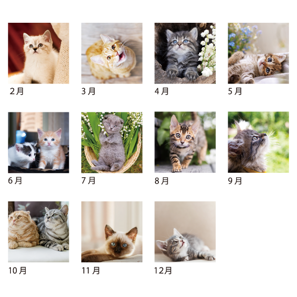 2026年卓上カレンダー CAT DESK