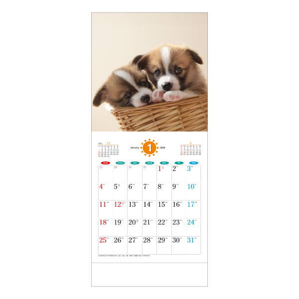 2026年壁掛カレンダー THE DOGS(ザ・ドッグ)