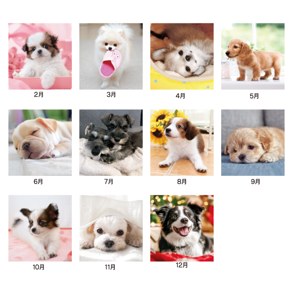 2026年壁掛カレンダー THE DOGS(ザ・ドッグ)