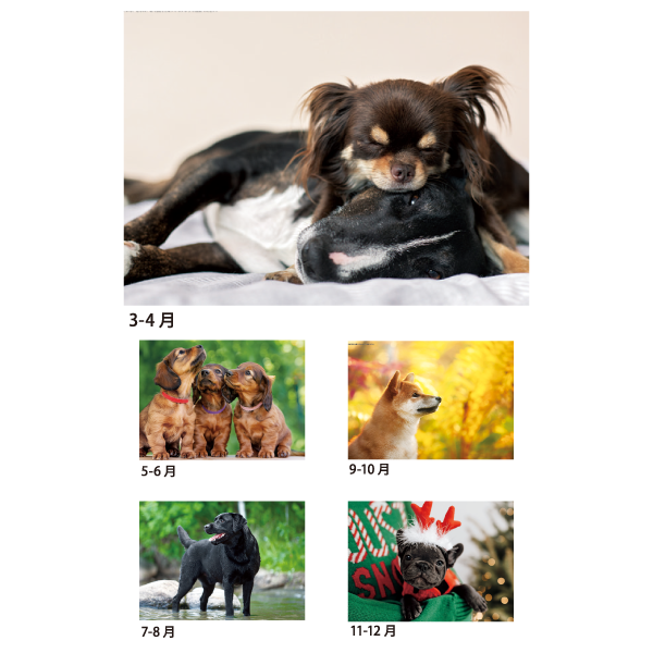 2026年壁掛カレンダー ハッピースマイルドッグ