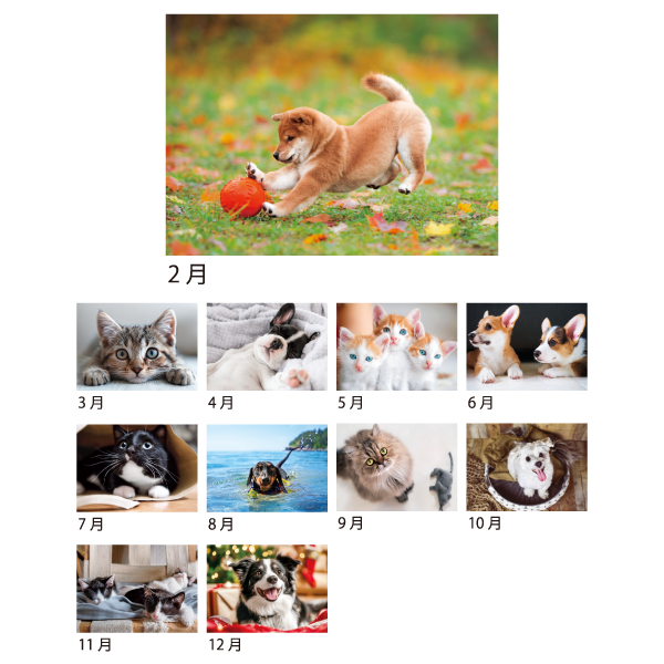 2026年壁掛カレンダー ワンニャンコンパクト