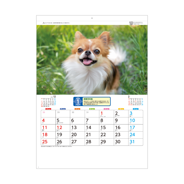 2026年壁掛カレンダー リトルペット