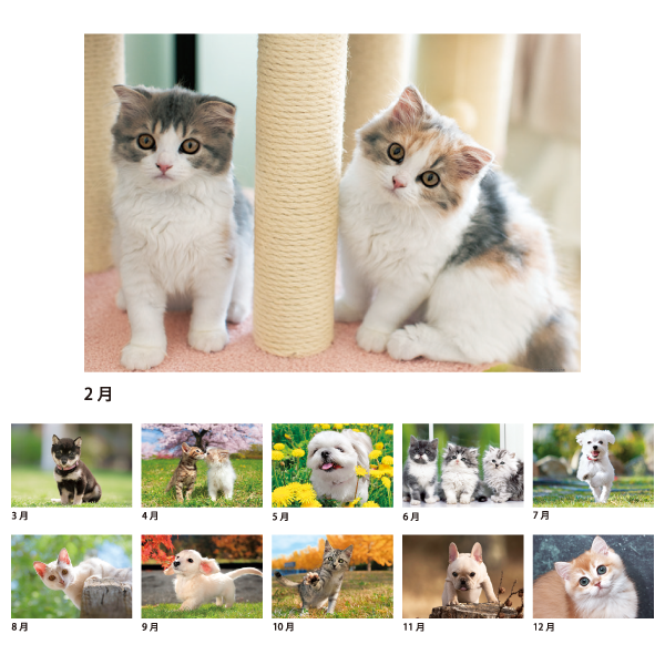 2026年壁掛カレンダー リトルペット