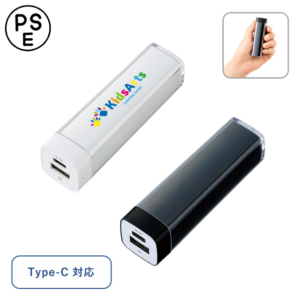 カスタムデザインチャージャー2200　Type-C対応