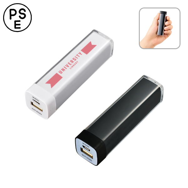 [PSE取得]オリジナル　カスタムデザインチャージャー2200